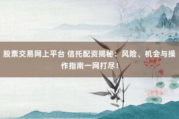 股票交易网上平台 信托配资揭秘：风险、机会与操作指南一网打尽！