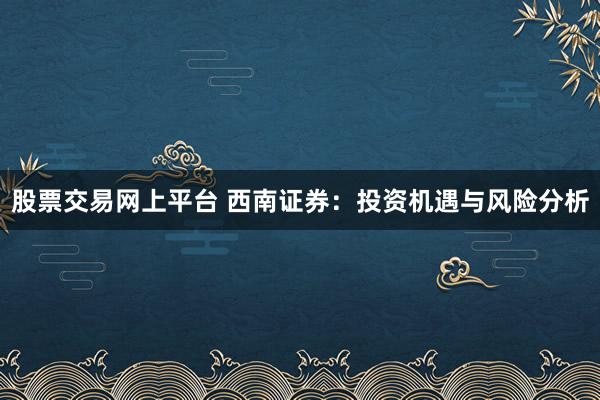 股票交易网上平台 西南证券：投资机遇与风险分析