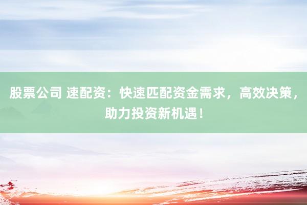 股票公司 速配资：快速匹配资金需求，高效决策，助力投资新机遇！