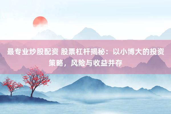 最专业炒股配资 股票杠杆揭秘：以小博大的投资策略，风险与收益并存