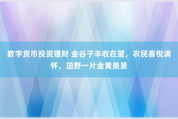 数字货币投资理财 金谷子丰收在望，农民喜悦满怀，田野一片金黄美景