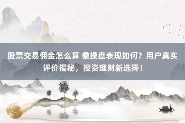 股票交易佣金怎么算 徽操盘表现如何？用户真实评价揭秘，投资理财新选择！