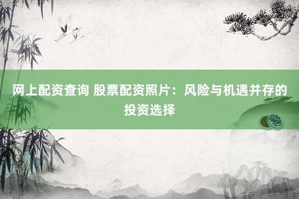 网上配资查询 股票配资照片：风险与机遇并存的投资选择