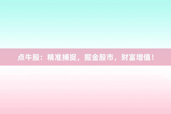 点牛股：精准捕捉，掘金股市，财富增值！