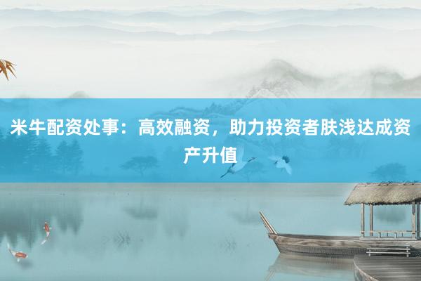 米牛配资处事：高效融资，助力投资者肤浅达成资产升值