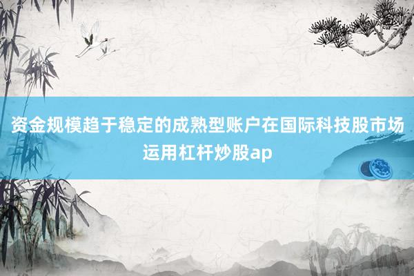 资金规模趋于稳定的成熟型账户在国际科技股市场运用杠杆炒股ap