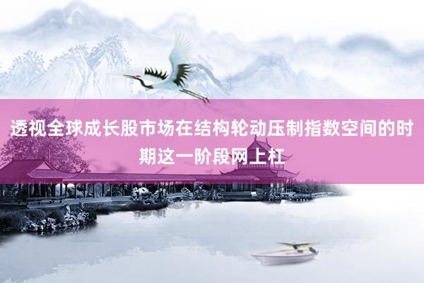 透视全球成长股市场在结构轮动压制指数空间的时期这一阶段网上杠