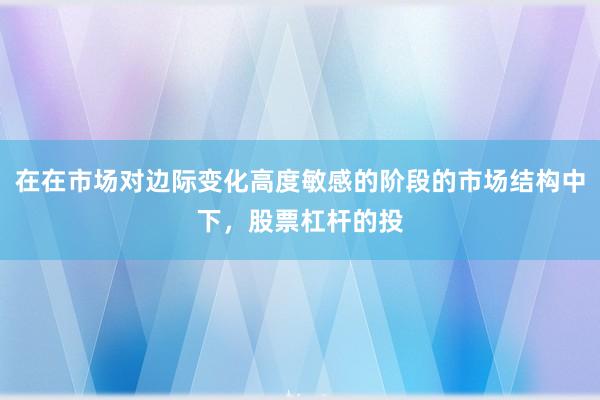 在在市场对边际变化高度敏感的阶段的市场结构中下，股票杠杆的投