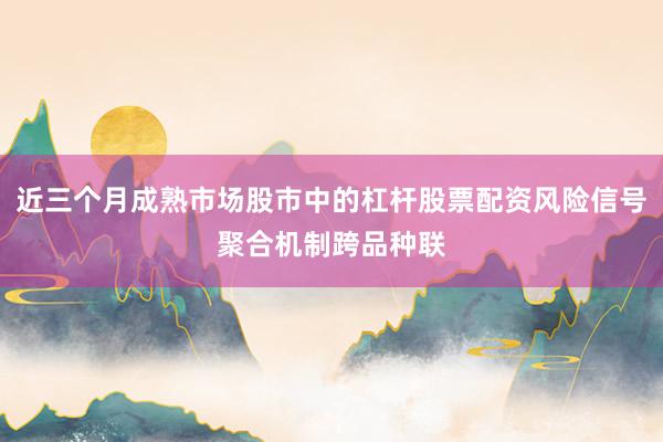 近三个月成熟市场股市中的杠杆股票配资风险信号聚合机制跨品种联