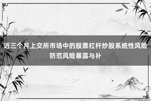 近三个月上交所市场中的股票杠杆炒股系统性风险防范风险暴露与补