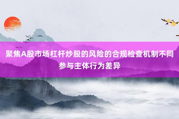 聚焦A股市场杠杆炒股的风险的合规检查机制不同参与主体行为差异