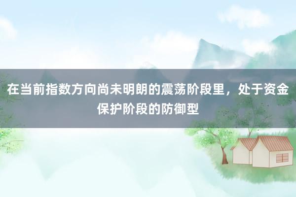 在当前指数方向尚未明朗的震荡阶段里，处于资金保护阶段的防御型